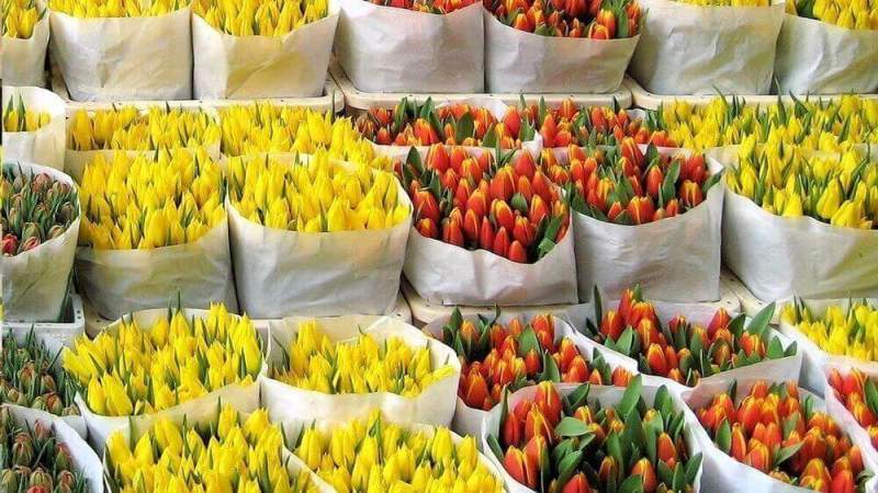 Как выращивают цветы на продажу и каков в целом цветочный бизнес?